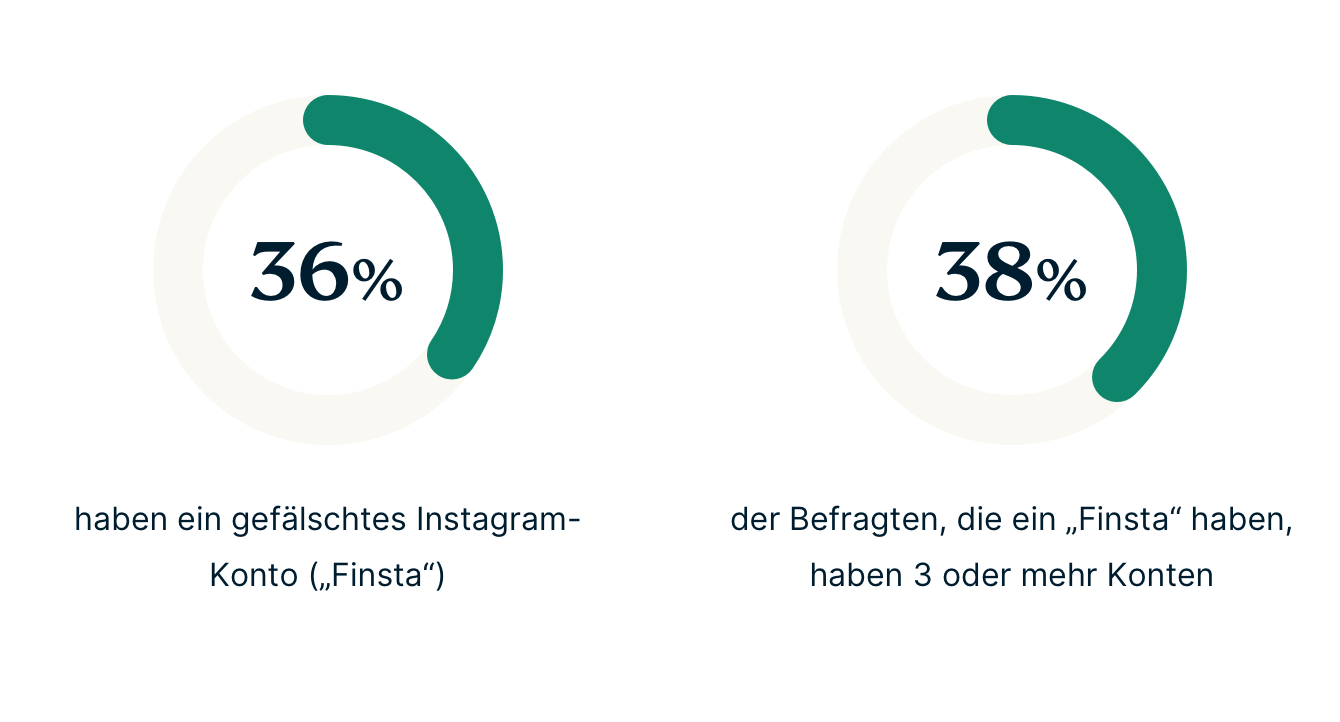 Gen Z Finsta Stats DE