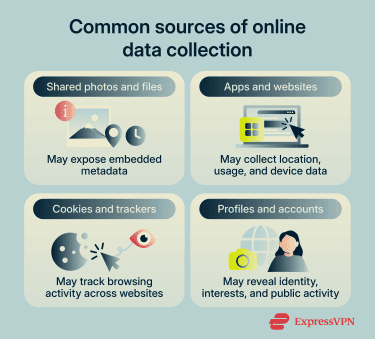 Diagram showing common sources of online data collection, including shared photos and files, apps and websites, cookies and trackers, and profiles and accounts.