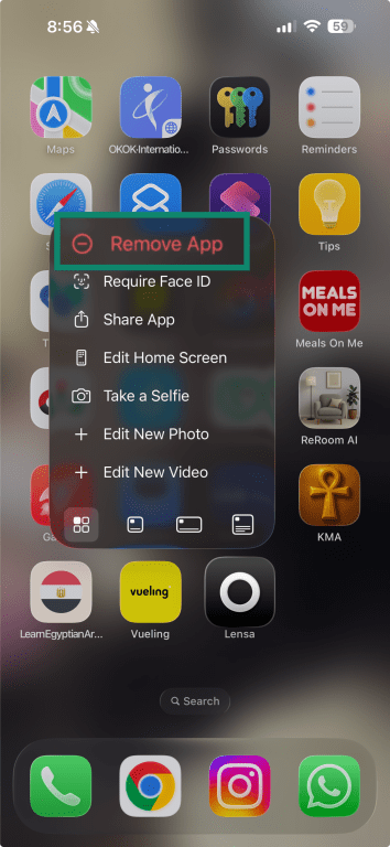 iPhone app menu showing “Remove App” option for Lensa.