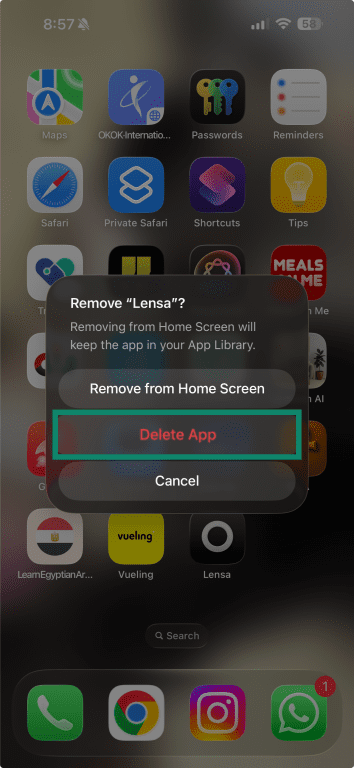 iPhone confirmation screen with “Delete” option for Lensa app.