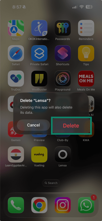 iPhone prompt showing “Delete App” option for Lensa.