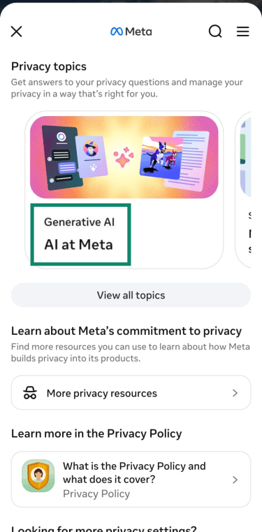 Meta Privacy Center with AI at Meta topic selected