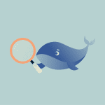 Is DeepSeek safe? What happens to your data when you use it