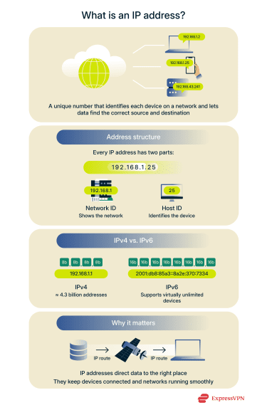 Infographic illustrating what an IP address is.