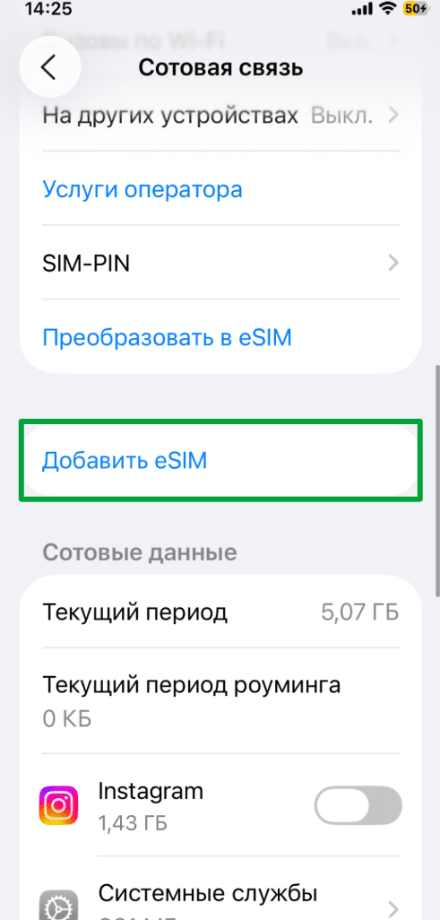 iPhone Cellular settings with the Add eSIM option.