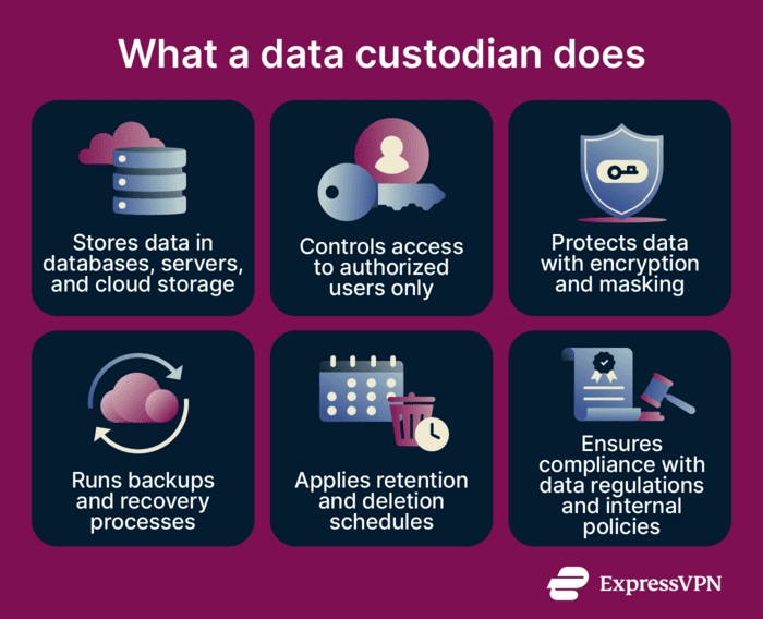 What a data custodian does
