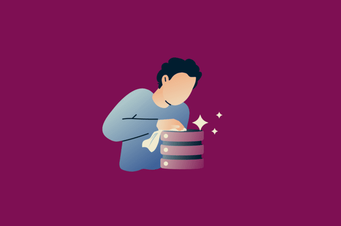 Data custodian