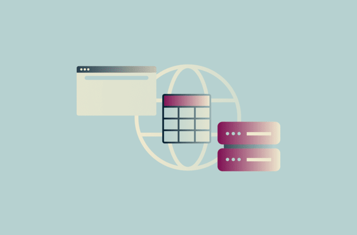 DNS record