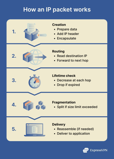 Infographic of how an IP packet works, showing the creation, routing, lifetime check, fragmentation, and delivery steps.