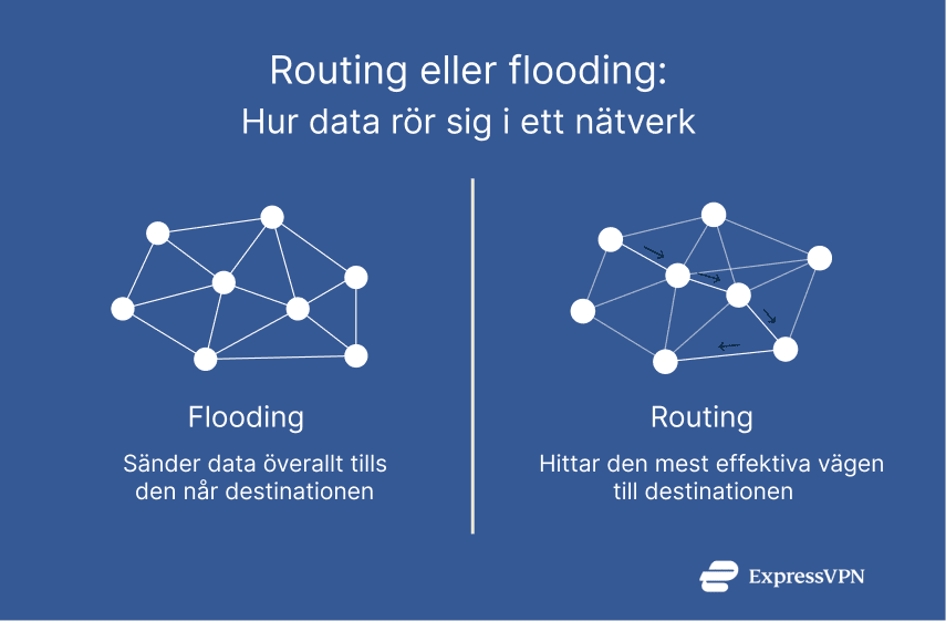 Illustration Routing Se 3