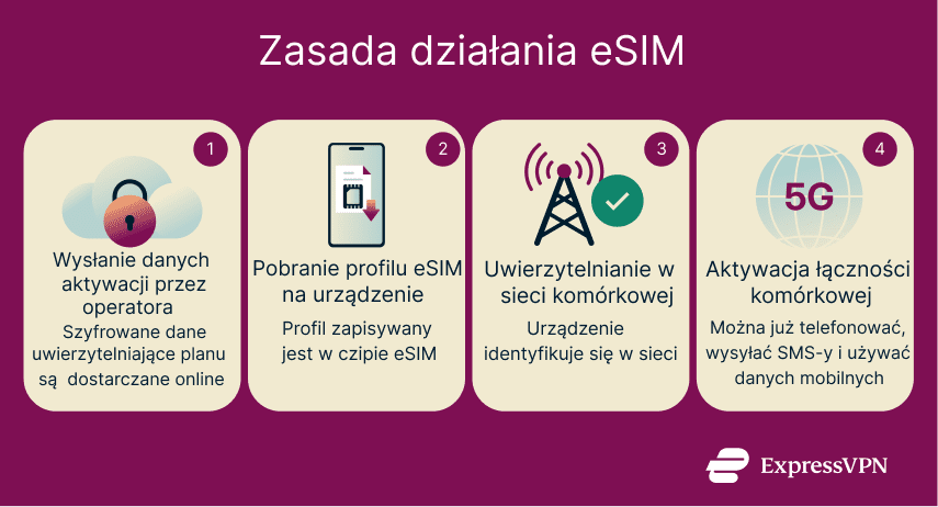 Image How An Esim Pl 1