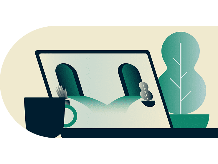 Mbg Windows
