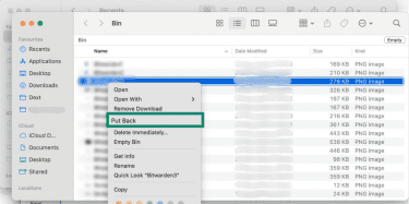 Recover files from Trash on macOS.