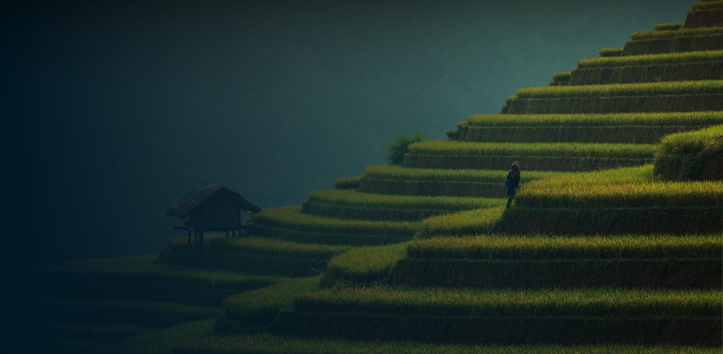 Vietnam Server Desktop