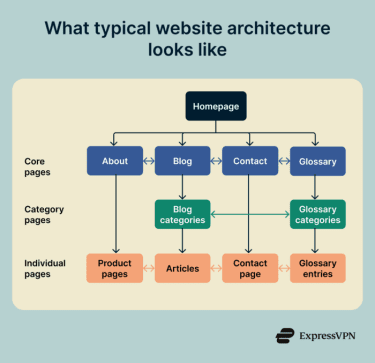 A website architecture describes how the content and elements within a website are organized.