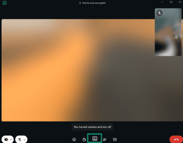 Share screen button in the bottom bar of the WhatsApp desktop app