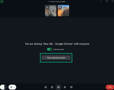 Stop sharing screen option in the WhatsApp desktop app
