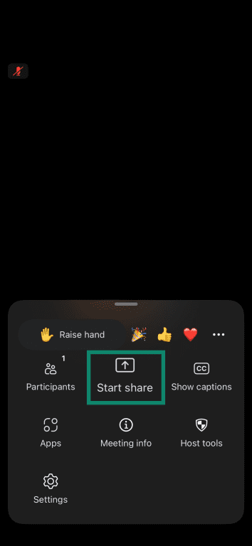 Start share button in the Zoom mobile app