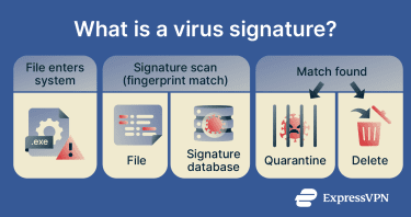Infographic showing what a virus signature is.