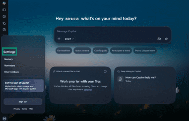 Settings option in Copilot.