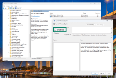 Enabled option under Turn off Windows Copilot.