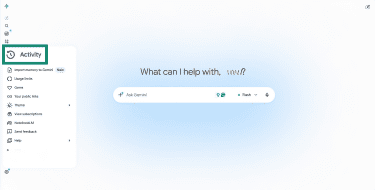 Gemini Activity settings.