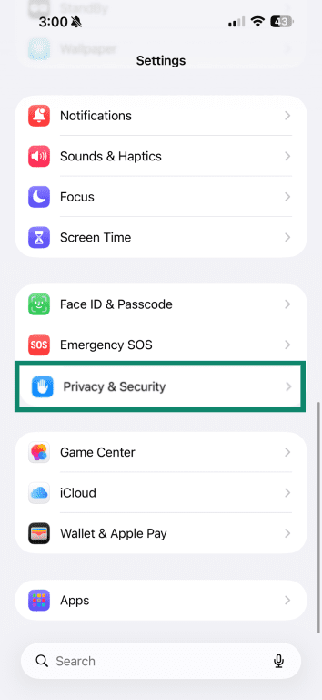 iPhone Settings menu showing Privacy & Security option