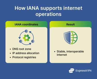 What the IANA coordinates and what it achieves.