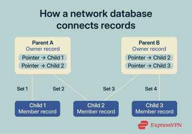 How navigation works in a network database and where records, sets, and pointers play a role in the system.