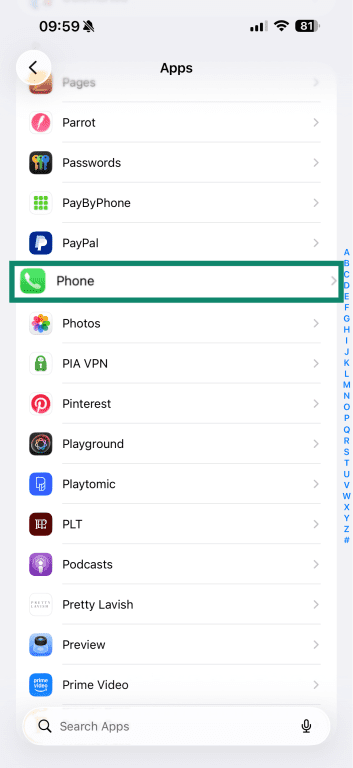 Phone app settings on iPhone.