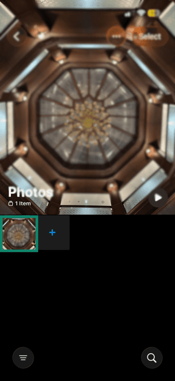 Photo selected in the iPhone Photos app