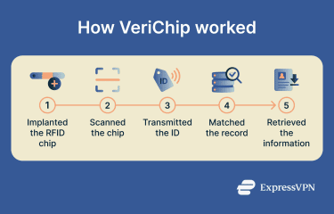 The process flow of how VeriChip works.