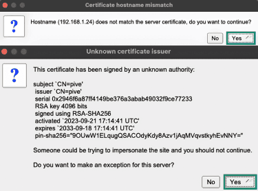 Certificate warnings on a VNC client connecting to Raspberry Pi.