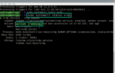 Running a command to make sure XRDP is running on Raspberry Pi.